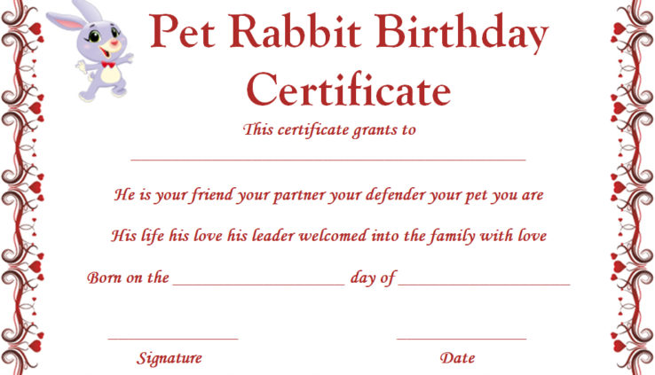 Rabbit Birth Certificate 10 Certificates Free To Print And