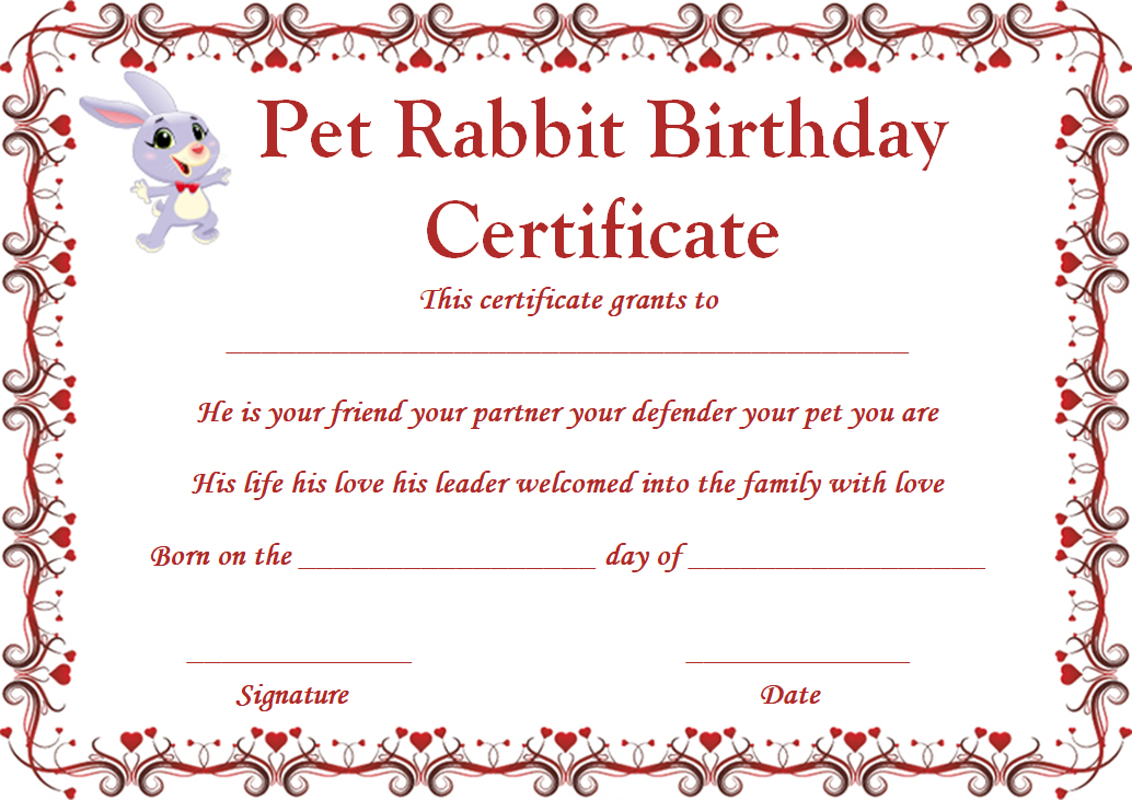 Rabbit Birth Certificate 10 Certificates Free To Print And Download Template Sumo