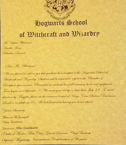 Order of Merlin Second Class Harry Potter Personalised Certificate 
