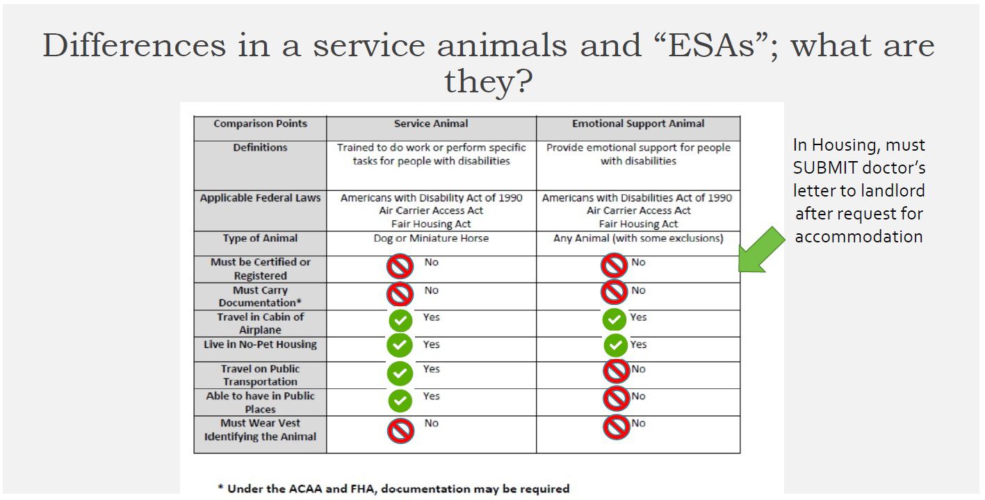 Differences In Service Animal And ESAs